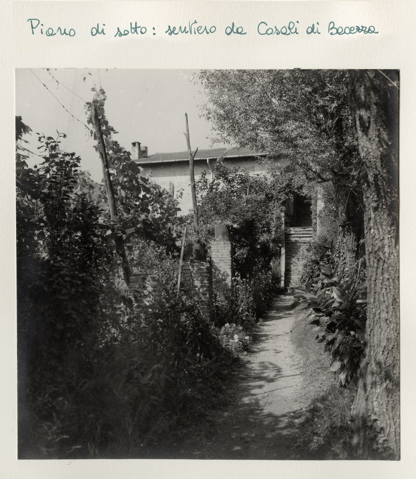 Original architectural details